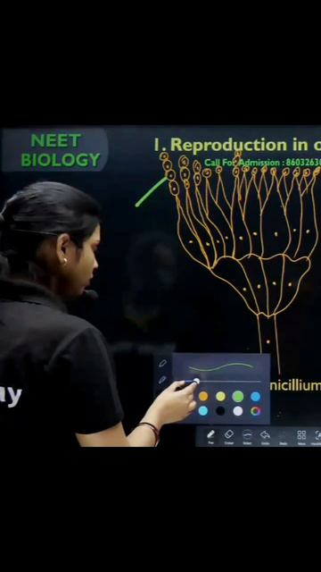 Biology Diagram #shorts #shortsfeed #biologyclass12 #archanamam