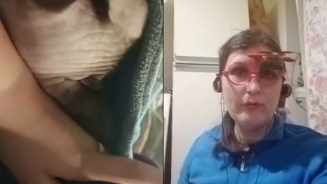 зверя смотреть онлайн
