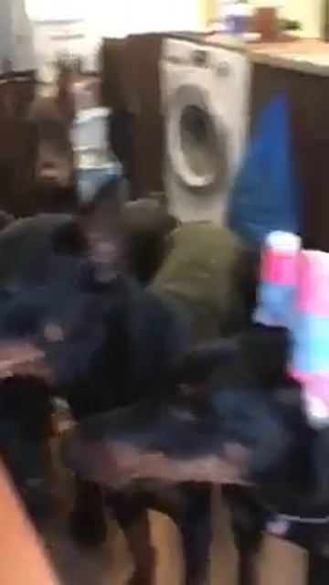 Тесто? Неее, не видел! В главной роли - Шаганэ смотреть онлайн