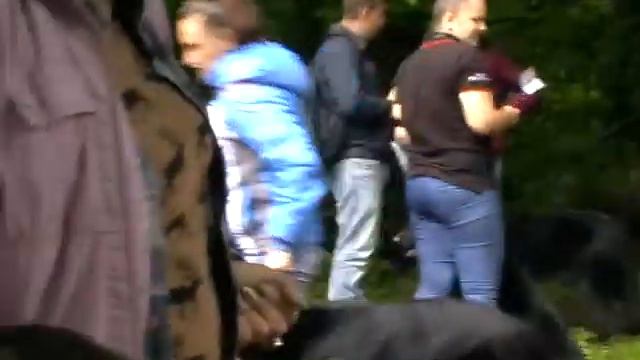 Люта смотреть онлайн