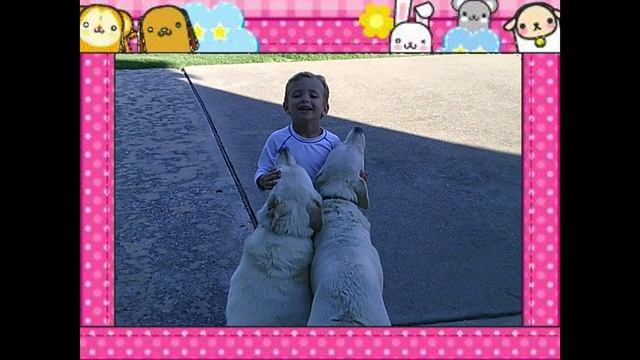 VanTop Junior K3 Kids Camera Review смотреть онлайн