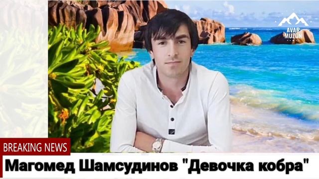 Магомед Шамсудинов "Девочка кобра" смотреть онлайн
