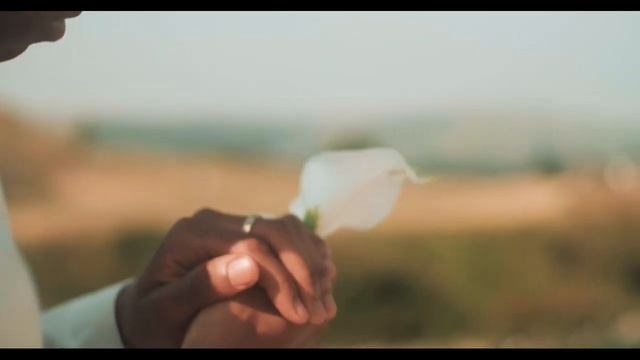 White Knight: A Visual Poem