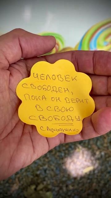 🤔#свобода #камлеш #вера #жизнь #человек #иллюзии #правда #мудрость #истина #мысли #философия #путь смотреть онлайн