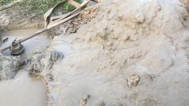 Общество Север. 16.07.2020