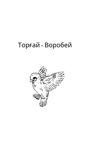 Интересно. Казахский язык. Intersting #shorts #short #subscribe #shortsvideo смотреть онлайн