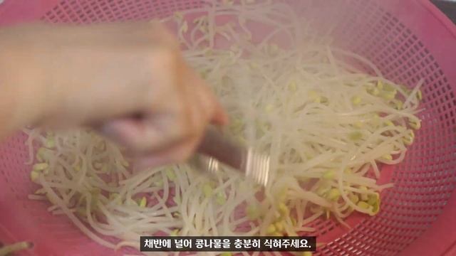 안 먹어봤다면 빨리 마트로 가서 콩나물을 사 오세요~ : 최고의 밥도둑 마법의 콩나물 장아찌 만드는법