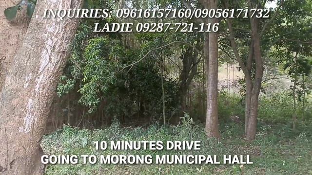 PRO-35 #NEAR HIGHWAY OVERLOOKING VIEWS смотреть онлайн