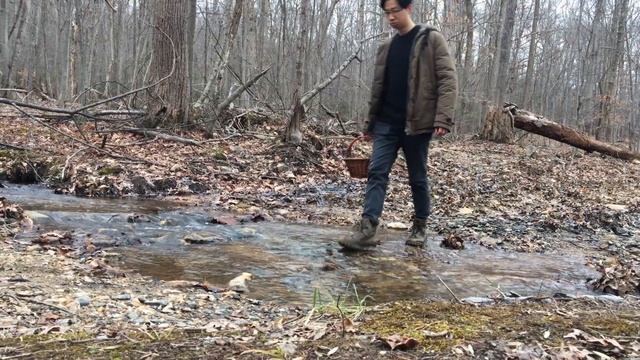 Hunt and Cook Giant Lion's Mane Mushrooms on the Tree 疯狂猴头菇 смотреть онлайн