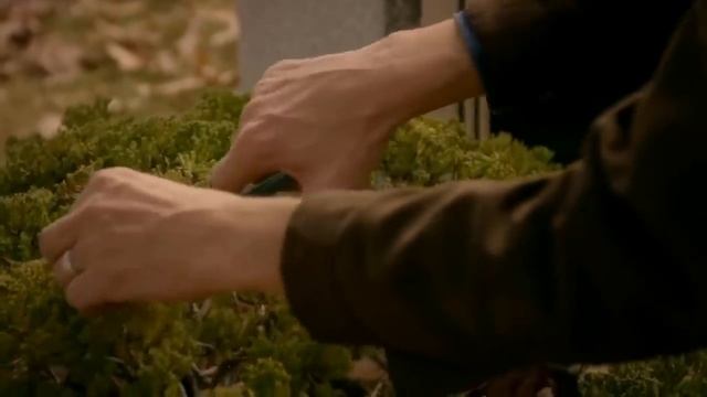 Daniel visits Mr. Miyagi - Cobra Kai Clip смотреть онлайн