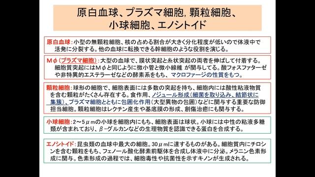 動物感染症4回対面昆虫対面 edit смотреть онлайн