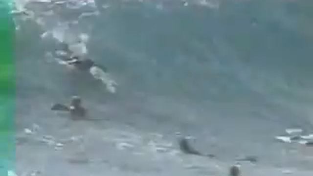 Surfing The Wedge in Newps смотреть онлайн