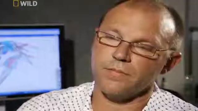 Cryptozoology Prehistoric Predators Sabretoothed Tiger National Geographic The Best Attacks Of Wild смотреть онлайн