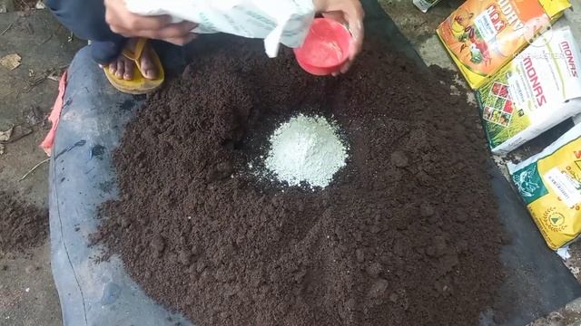 141.How To Use Bio Fertilizers. How To Use Trichoderma ,Pseudomonas,VAM. How To Multiply Trichoderm