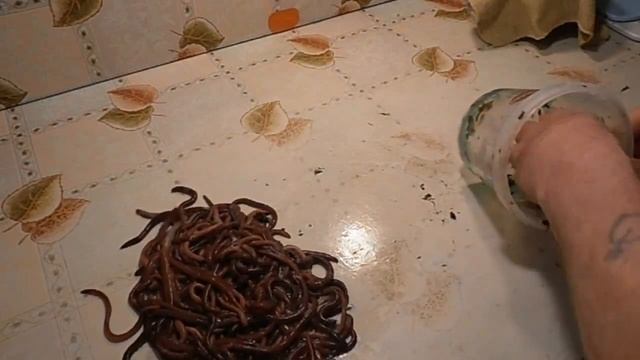 Конкурсное видео. Виктор Моргунов. смотреть онлайн