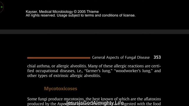 Fungus Looking Into Difference Things (3)