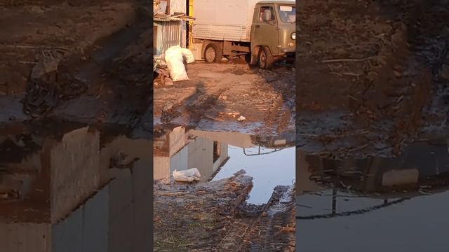 всё нет быков. смотреть онлайн