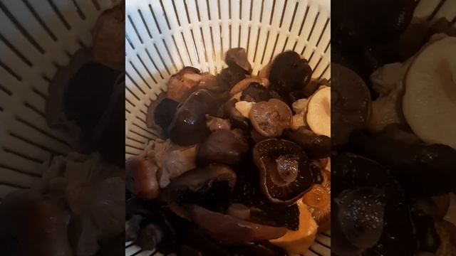 Грибы. Засолка. смотреть онлайн