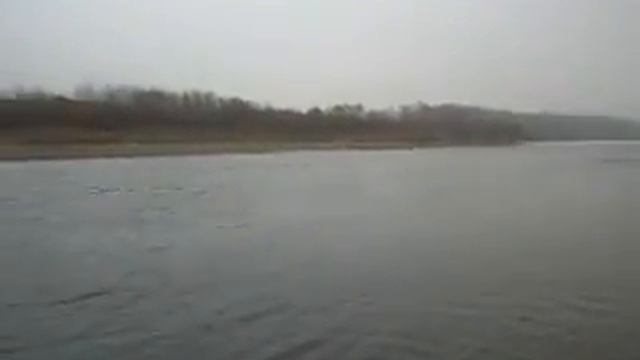 Рыбалка в Черновцах смотреть онлайн