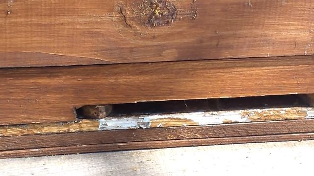 Начало сезона матководства.Первые шаги...10.04.19