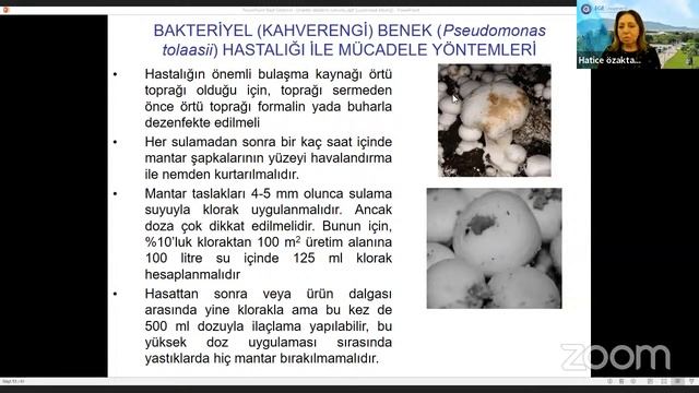 MANTAR AKADEMİSİ-21MANTAR YETİŞTİRİCİLİĞİNDE YAYGIN OLARAK GÖRÜLEN HASTALIKLARPROF.DR.HATİCE ÖZAKTA