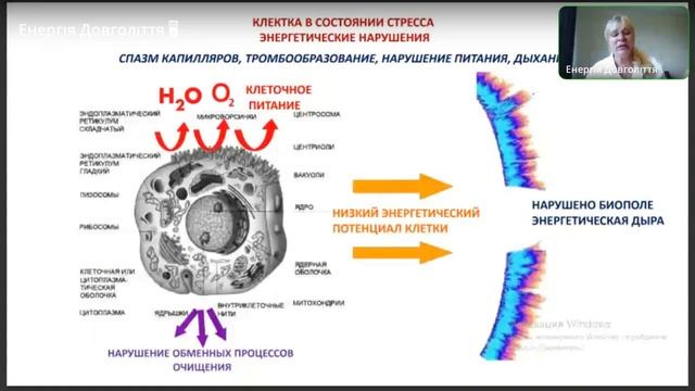 Онкологія смотреть онлайн