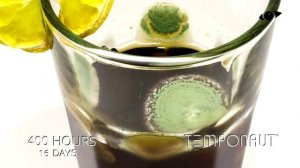 Cola TimeLapse