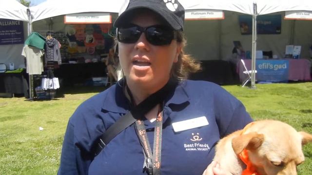 Best Friends Animal Society Jen Woodard talks about OBOL and Pet adoption @ LA Brea Tar Pits смотреть онлайн