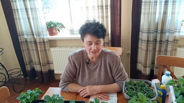 Петунии -  это красота!