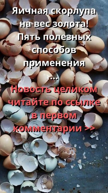 Тот теперь кто...