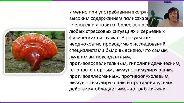 "LINGZHI MAGIC COCOA " феноменальное здоровье для каждого! смотреть онлайн