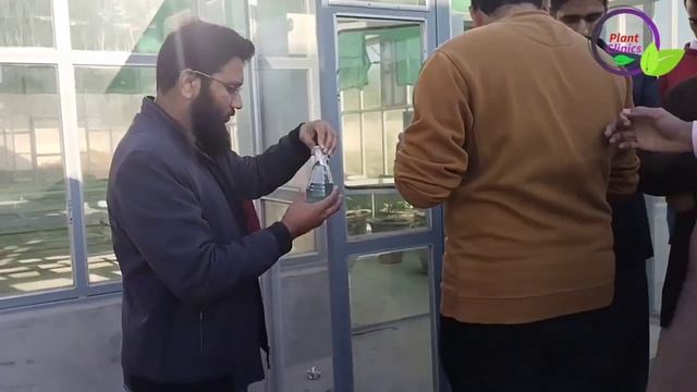 Tomato and chilies seedlings treatment with trichoderma | Practical video | Dr. Jamil Shafi смотреть онлайн