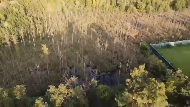 Продаж земельної ділянки с. Плюти