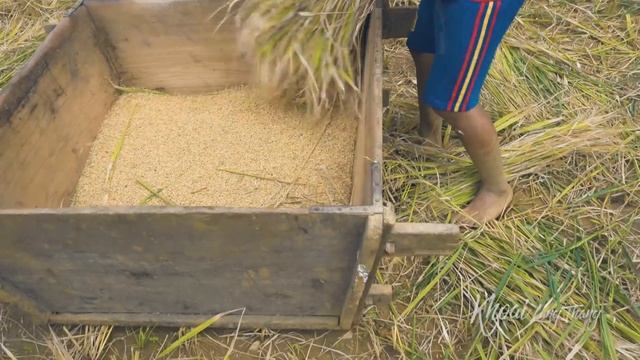 Ký sự du lịch ẩm thực Sapa #2 |Mùa vàng Tây Bắc Việt Nam смотреть онлайн