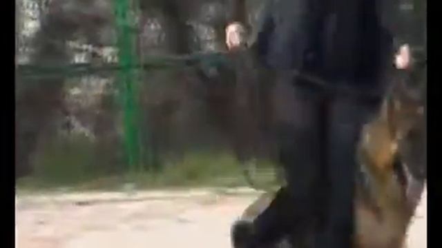 2-3 мая Севастополь смотреть онлайн