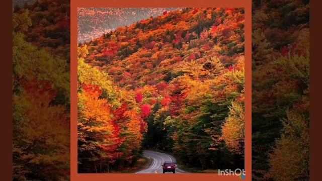 просто стихи