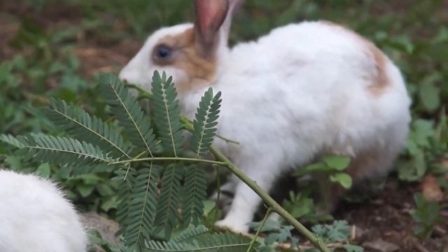 кушать хотим смотреть онлайн