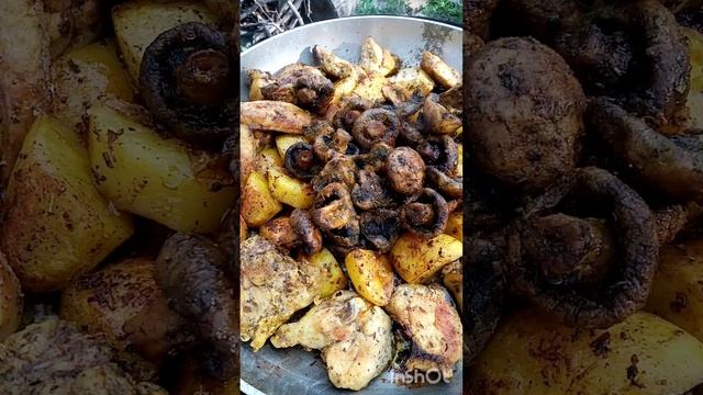 Кебаб курица с грибами и картохой на костре смотреть онлайн