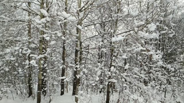 Люскус 17 декабря 2017