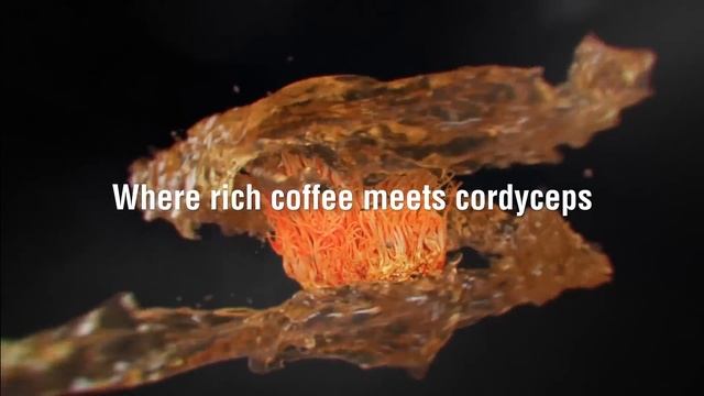LivePURE PURECAFÉ - Coffee Infused With Cordyceps!
