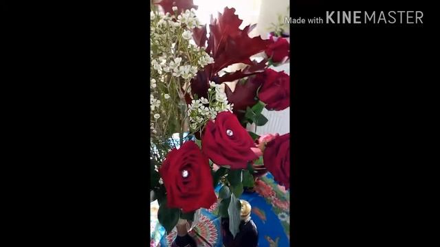 Каралёк птичка певчая мелодия. PRETTY MUSIC. смотреть онлайн