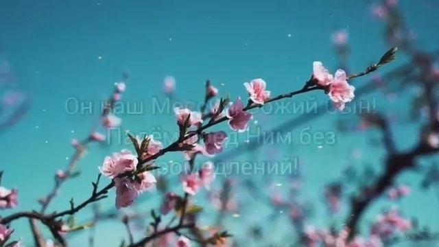 ДИМА И ЛЕНА. 2021. смотреть онлайн