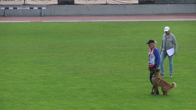 Vyatkins' Sandy FMBB-2019 раздел С смотреть онлайн