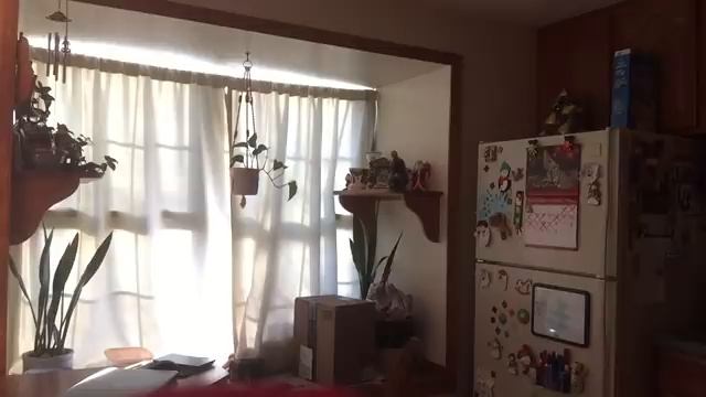 “Hidden camera”catches my sister doing stuff смотреть онлайн