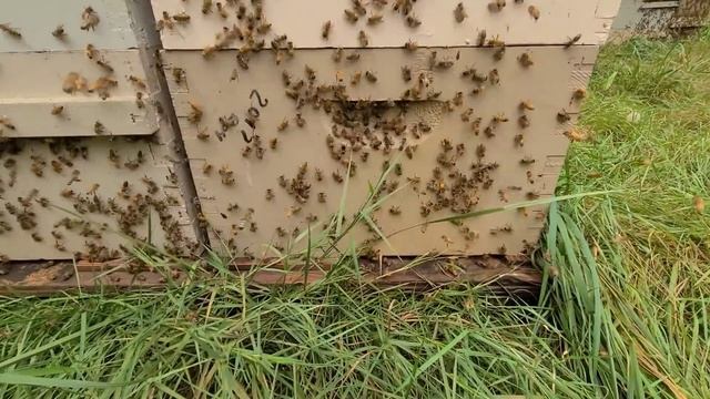 Слава Богу точки не сгорели смотреть онлайн