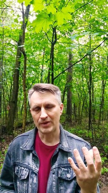 Почему не стоит слепо верить просветлённым смотреть онлайн