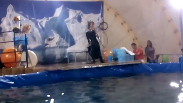 Дельфинарий в Перми (6) смотреть онлайн