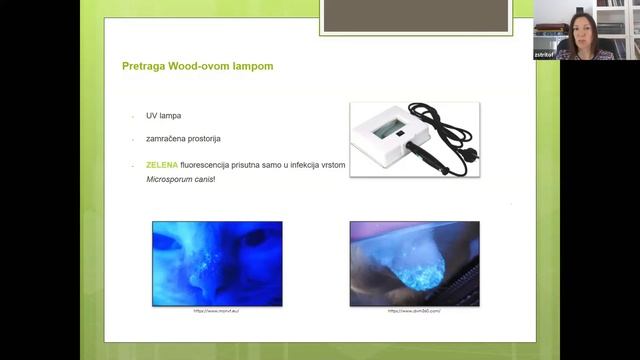 Webinar, 8.5.2020., Dr. Zrinka Štritof, Dermatofitoza kod životinja смотреть онлайн