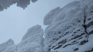 Р Рождественский  Баллада о молчании #стихиовойне  #поэты20века