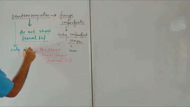 Lecture 5 Biological Classification смотреть онлайн